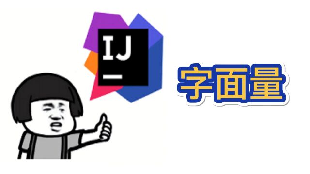 Java新手入门:字面量