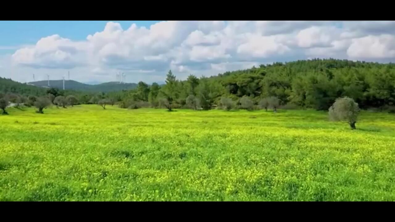 张冬玲翻唱《草原舞曲》,天籁之音