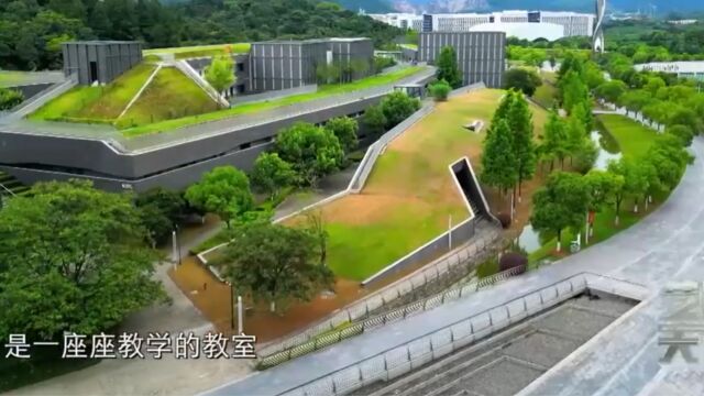 浙江音乐学院的理念要把校园按照4A级景区打造