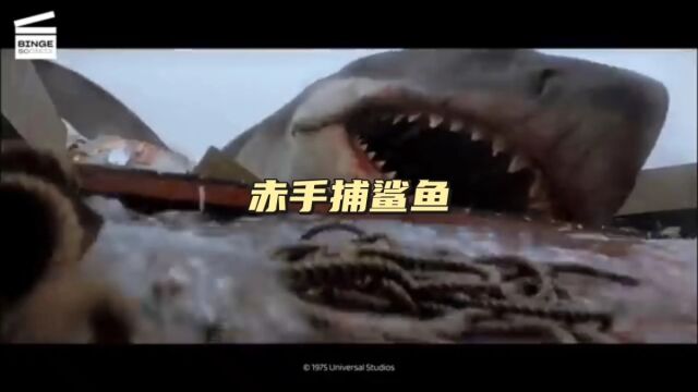 徒手捕鲨鱼#海洋动物