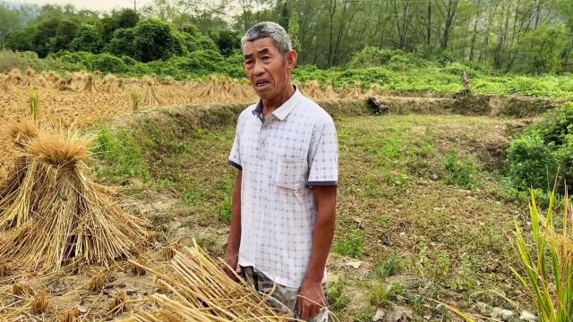 鸡蛋里挑骨头,农村搞笑段子田间地头就是我的舞台,劳动者是最美的人