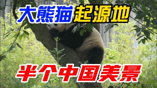 大熊猫的起源地,霸占半个中国自然美景,特色美食堪称一绝