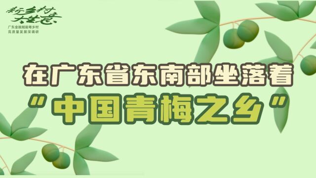 湾财调研|揭阳金融助创“梅”好未来,激发数十亿产业新动能