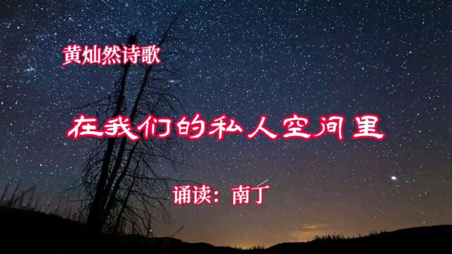 黄灿然诗歌《在我们的私人空间里》诵读:南丁