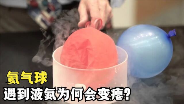 将动物气球放入进液氮中,它为何会变小?来自麻省理工的实验