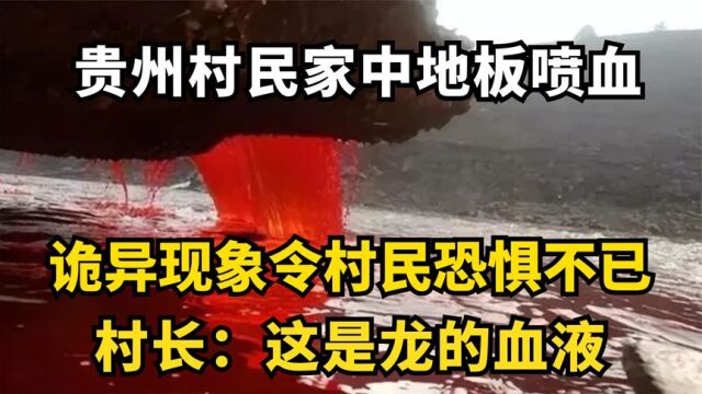 贵州村民家中地板喷血,诡异现象村民恐惧不已,村长:是龙的血液