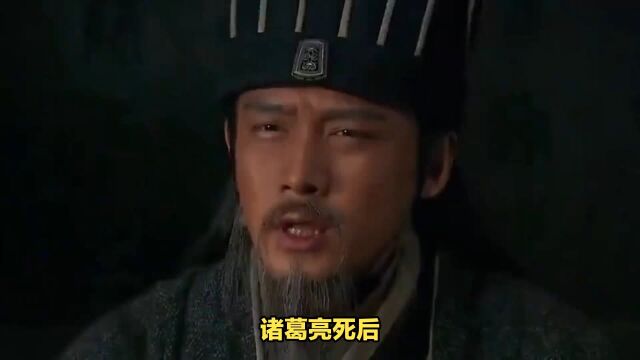 诸葛亮死后,杨仪骂魏延为“庸奴”,内情曝光#三国 #历史