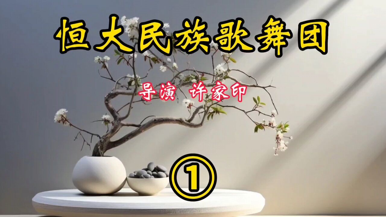 (一)许家印的恒大民族歌舞团舞姿优美,精彩绝伦,视觉盛宴!