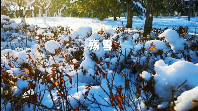 这首好听的歌《殇雪》,分享给大家,真的很好听!