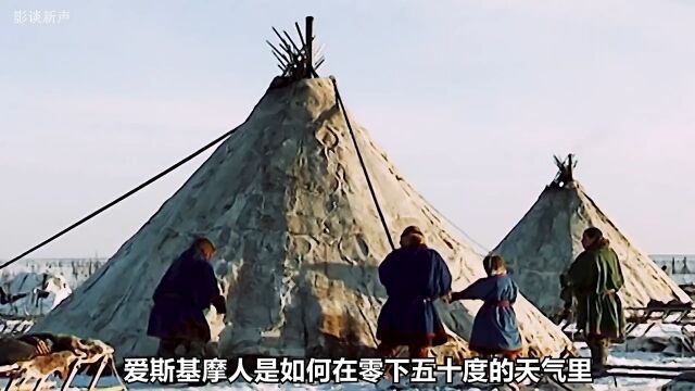 爱斯基摩人是如何在零下50度的极寒天气里搭建兽皮帐篷的#爱斯基摩人#因纽特人#北极