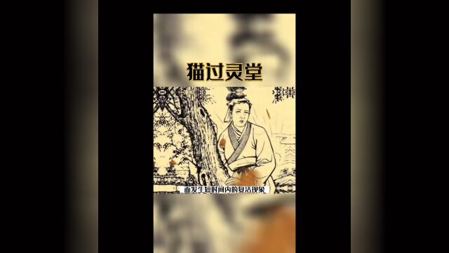 民间故事 信不信由你