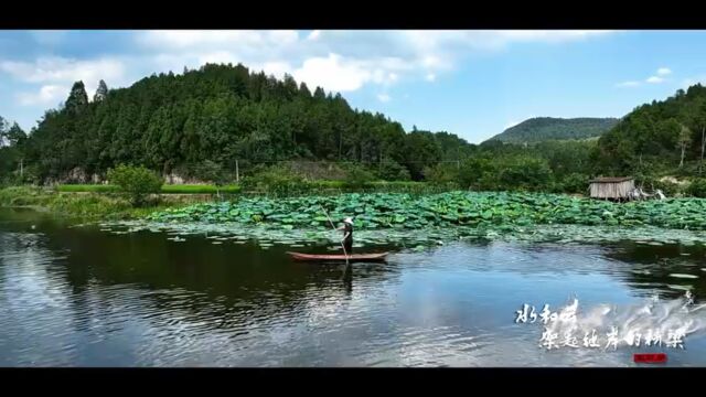 旅游四川ⷮŠ梓潼:清荷泛舟 美不胜收作者:肖康 陈瑞 廖彩宏作者单位:梓潼县融媒体中心出品:时代传媒号新媒体