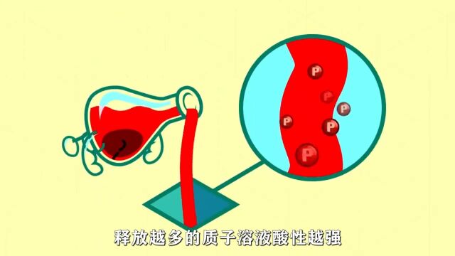 酸碱平衡可视化