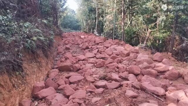 日记:旅游赤水天台五花山