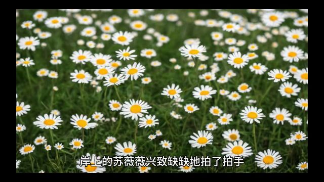 《夭寿!团宠小福宝被抢》苏米幼小说全集