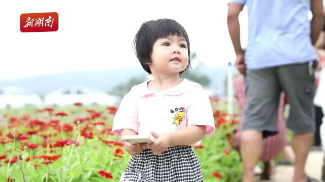 百年矿区变身“花海”|湖南日报