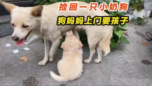腾讯视频