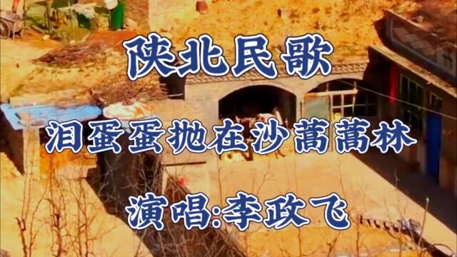 陕北民歌泪蛋蛋掉在沙蒿蒿林演唱李政飞