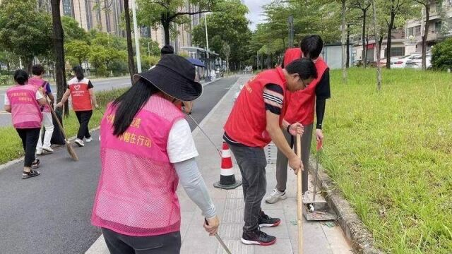 大亚湾西区街道:近3000人共出力,市容环境得提升