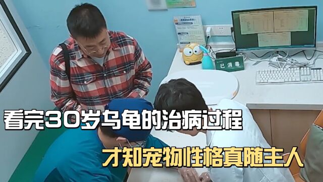 看完30岁乌龟的治病过程,才知宠物性格真会随主人!