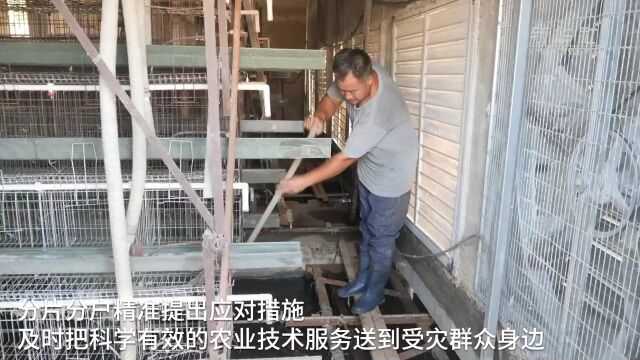 央媒看沧州 | 河北献县:精准施策助减损 恢复生产信心足