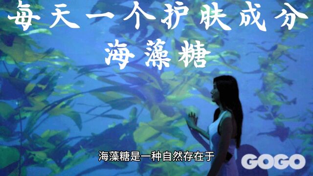 海藻糖|每天认识一个护肤成分