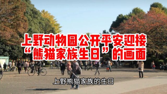 上野动物园公开平安迎接“熊猫家族生日”的画面