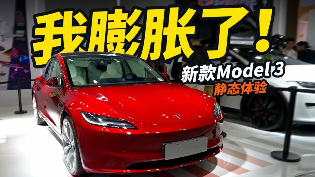 新款Model 3终于来啦!25.99万起,续航升级,竟还加后排小彩电!