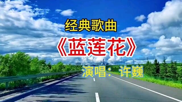 许巍经典歌曲《蓝莲花》励志又经典,激励无数人奋力前行!