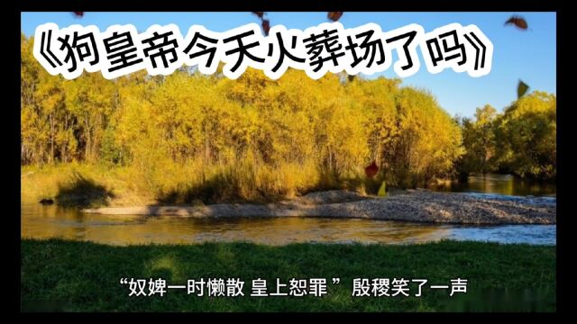 狗皇帝今天火葬场了吗(谢蕴殷稷)全文在线阅读&无删减篇