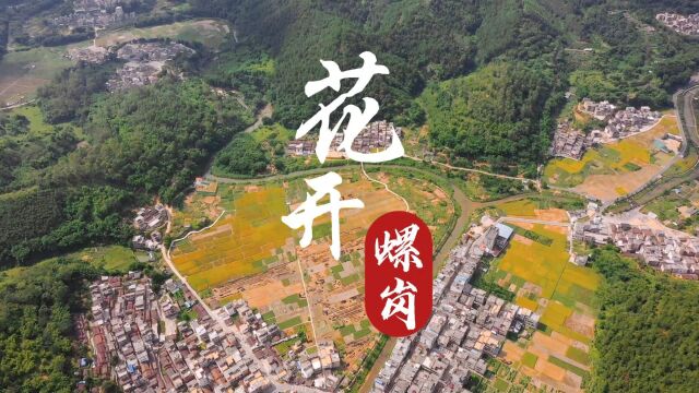 广东省肇庆市广宁县螺岗文旅形象宣传片——《花开螺岗》