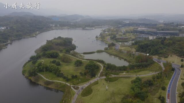 重庆渝北龙兴明月湖,跑步骑行休闲好去处,游船赏花风景宜人!