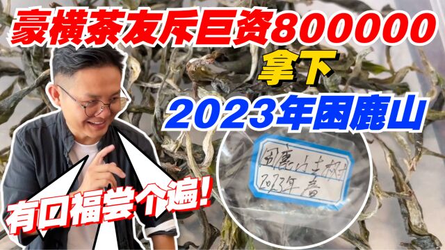 豪横茶友斥巨资80万,拿下2023年困鹿山!老高有口福尝个遍!