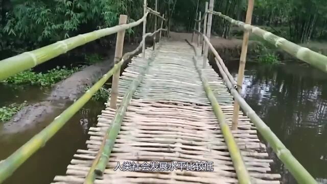 50000根竹子搭建的桥,一天能收200万过桥费,每年都要拆建一次