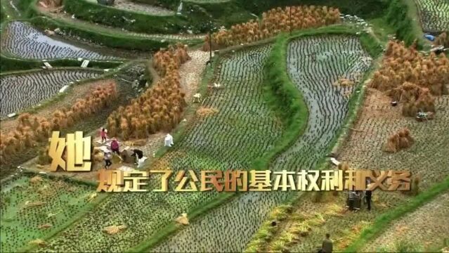 大力弘扬宪法精神 建设社会主义法治文化