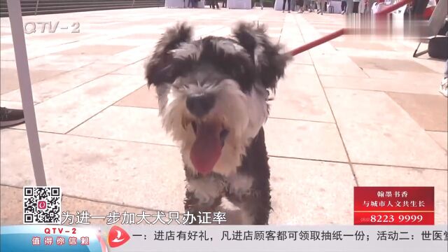 青岛文明养犬服务平台正式上线!还没给爱犬办证的居民抓紧预约