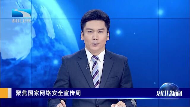 湖北公安2个月侦办网络违法犯罪超900起