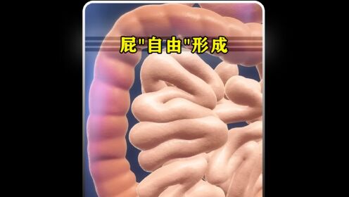 全程记录身体转化屁的全过程,快来看看屁是如何在你肚子里面产生的?_高清1080P在线观看平台_腾讯视频