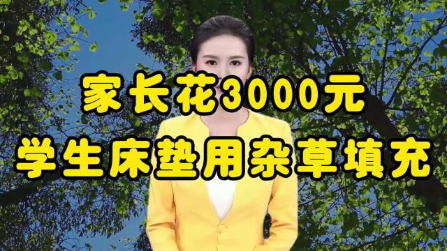 学生宿舍床垫用杂草填充,家长称花了3000块