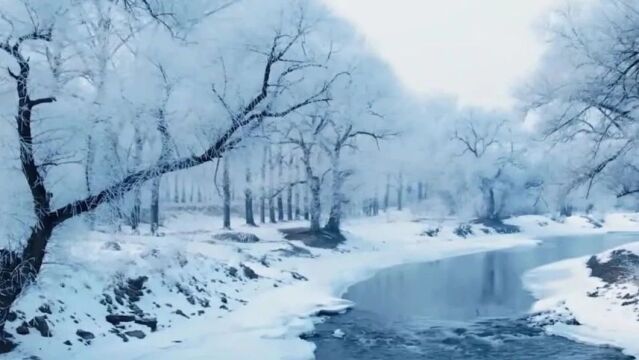 缤纷线路、多彩节庆,今冬鹤城齐齐哈尔旅游热“雪”沸腾