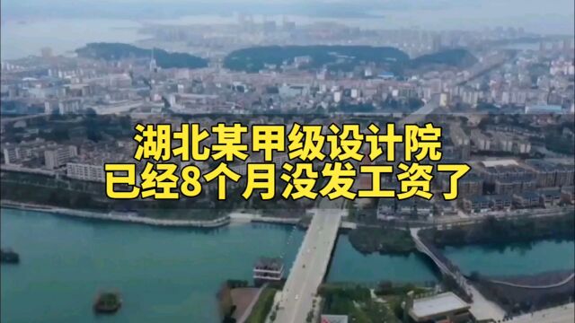 湖北某甲级设计院已经8个月没发工资了