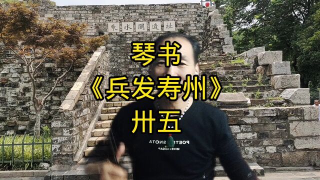 琴书《兵发寿州》卅五