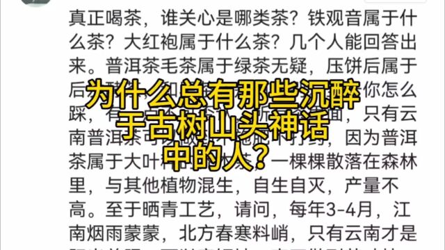 为什么总有那些沉醉于古树山头那些神话中的喝茶人?