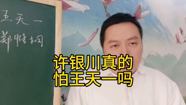 许银川真的怕王天一吗