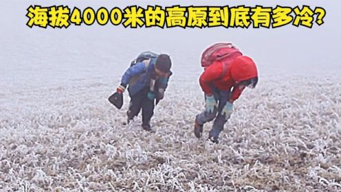 海拔4000米冰天雪地高原上，两个孩子的上学路，渴了就吃口雪