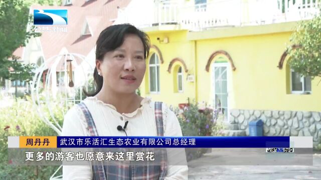 武汉蔡甸“最美农村路”串起农文旅产业大道