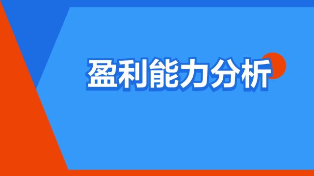 “盈利能力分析”是什么意思?