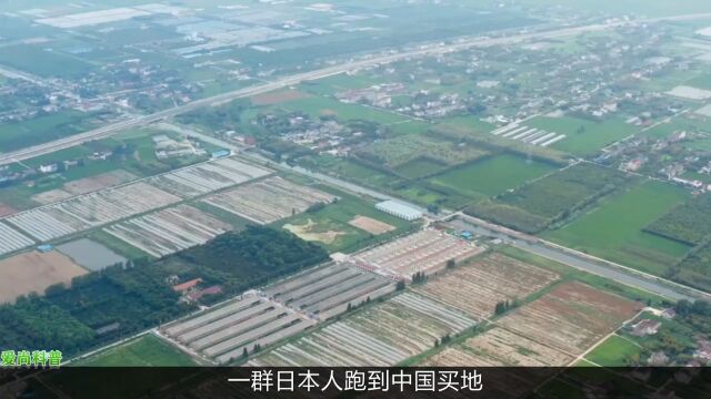 斥巨资在山东租下1500亩地,闲置5年任由野草疯长