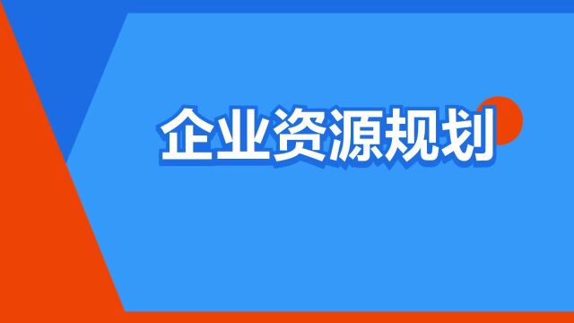 “企业资源规划”是什么意思?