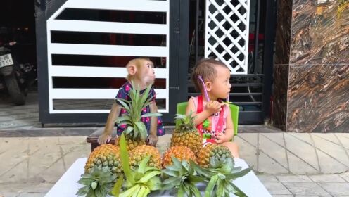 妹妹和猴猴卖菠萝，新鲜的大菠萝！